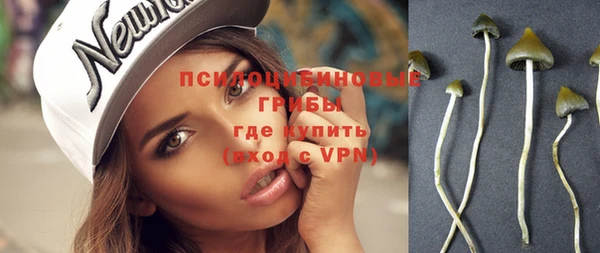 ГАЛЛЮЦИНОГЕННЫЕ ГРИБЫ Абдулино