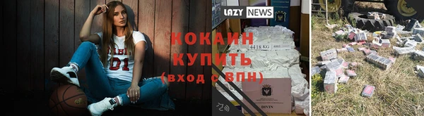 соль ск Надым