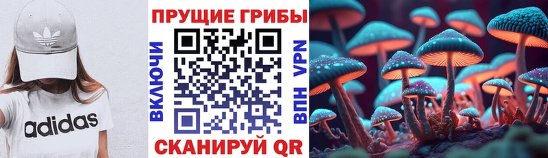 закладка  Южа  Галлюциногенные грибы мицелий 